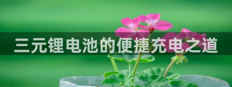 okpay钱包客服怎么联系