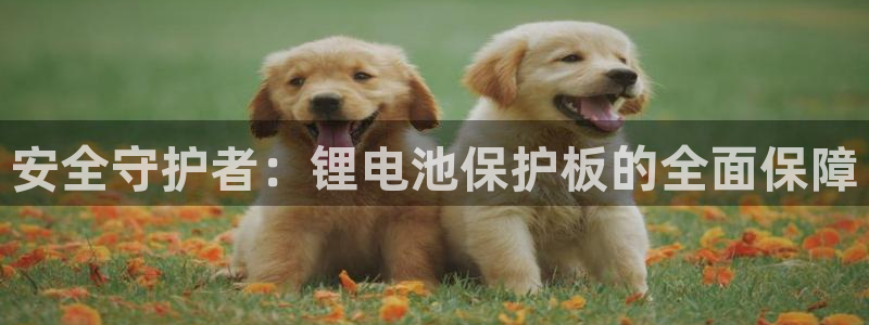 okpay钱包怎么充值
