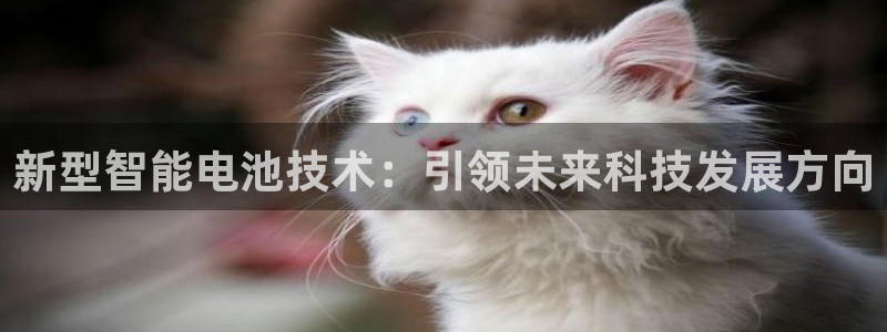 okpay钱包官网版2023