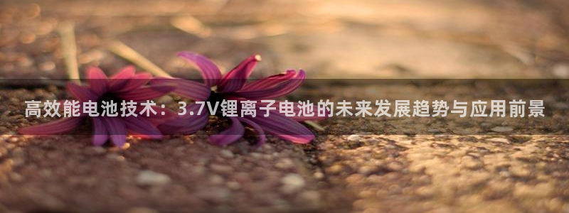 okpay钱包下载地址