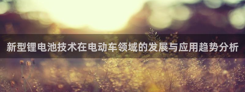 什么是okpay钱包