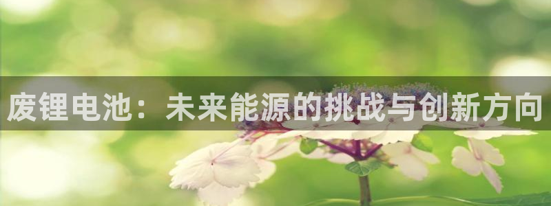 okpay是哪个国家的钱包