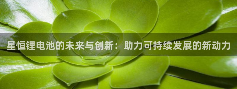 okpay钱包最新版下载