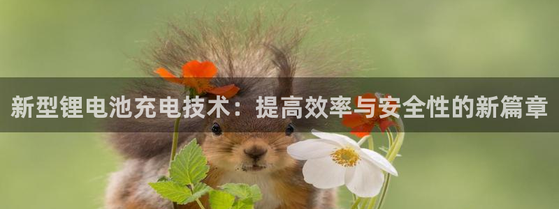 okpay钱包下载