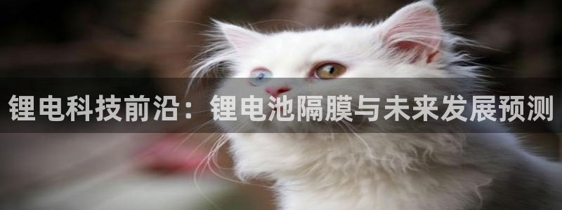 okpay钱包教程