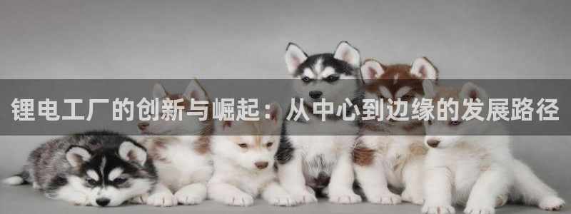 okpay钱包手机版