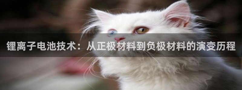 okpay钱包最新版安卓版