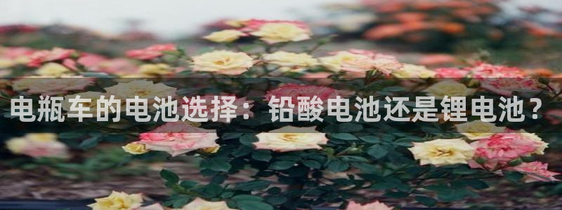 okpay钱包地址怎么查询