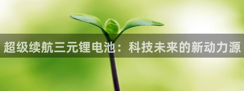 okpay钱包怎么下载不了