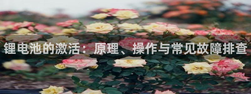 okpay钱包提现教程