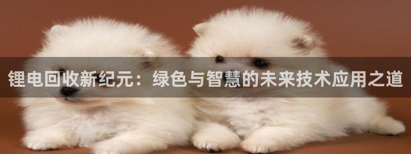 okpay钱包怎么提现