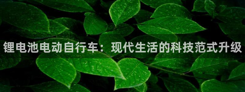 okpay钱包是正规平台吗