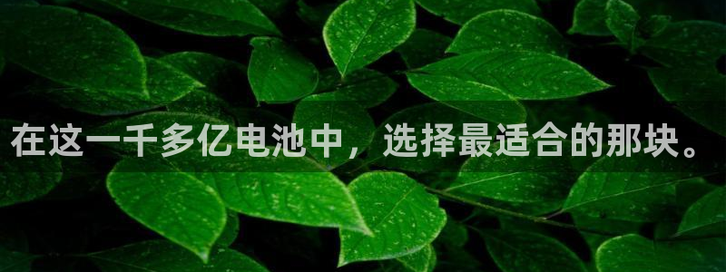 okpay钱包官网版