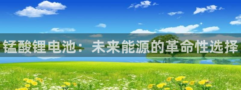 okpay钱包提现教程：锰酸锂电池：未来能源的革命性选择