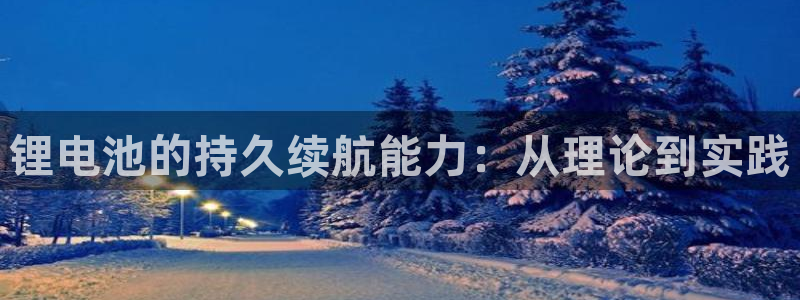 okpay钱包买币全过程：锂电池的持久续航能力：从理论到实践