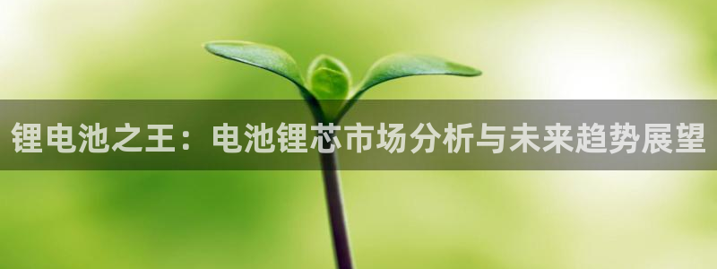 okpay钱包合法吗：锂电池之王：电池锂芯市场分析与未来趋势展望