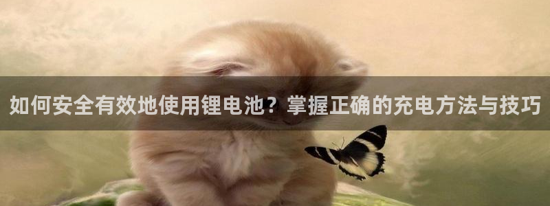 okpay钱包安卓下载