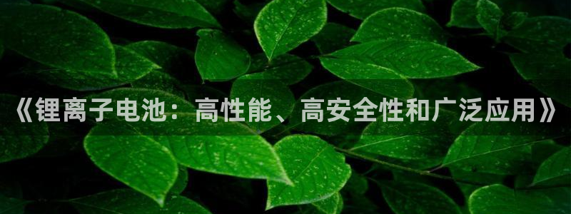 okpay钱包网址：《锂离子电池：高性能、高安全性和广泛应用》