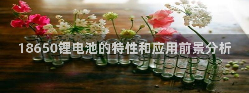 okpay钱包官网版2023