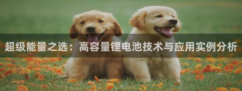 okpay钱包官网版v6.0.21：超级能量之选：高容量锂电池技术与应用实例分析