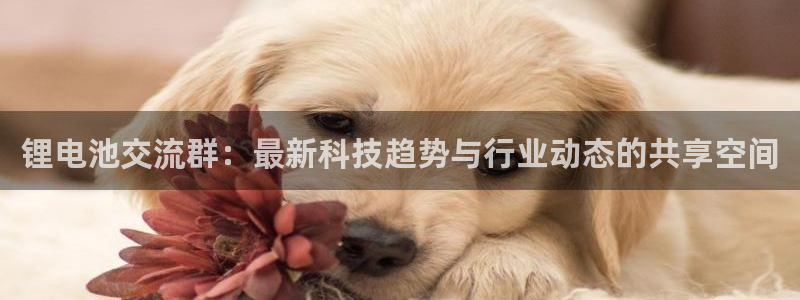 okpay钱包下载地址：锂电池交流群：最